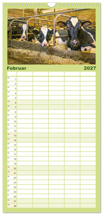 Sanfte Holsteiner (CALVENDO Familienplaner 2027)
