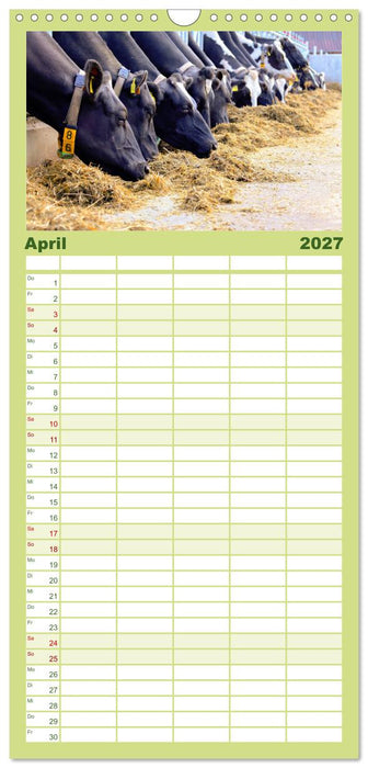 Sanfte Holsteiner (CALVENDO Familienplaner 2027)