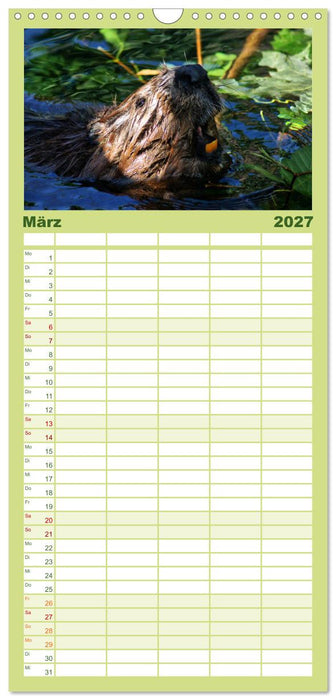 Das Leben der Biber (CALVENDO Familienplaner 2027)