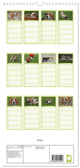 Beagle (CALVENDO Familienplaner 2027)