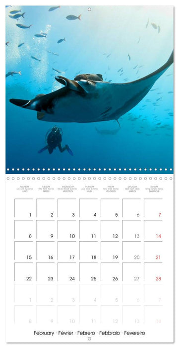 Maldives - Sun, water and beach (CALVENDO Monthly Calendar 2027)