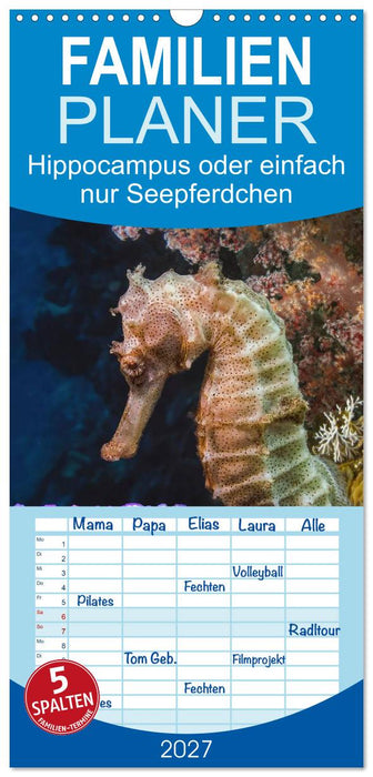 Hippocampus oder einfach nur Seepferdchen (CALVENDO Familienplaner 2027)