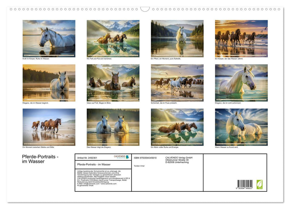 Pferde-Portraits - im Wasser (CALVENDO Wandkalender 2027)