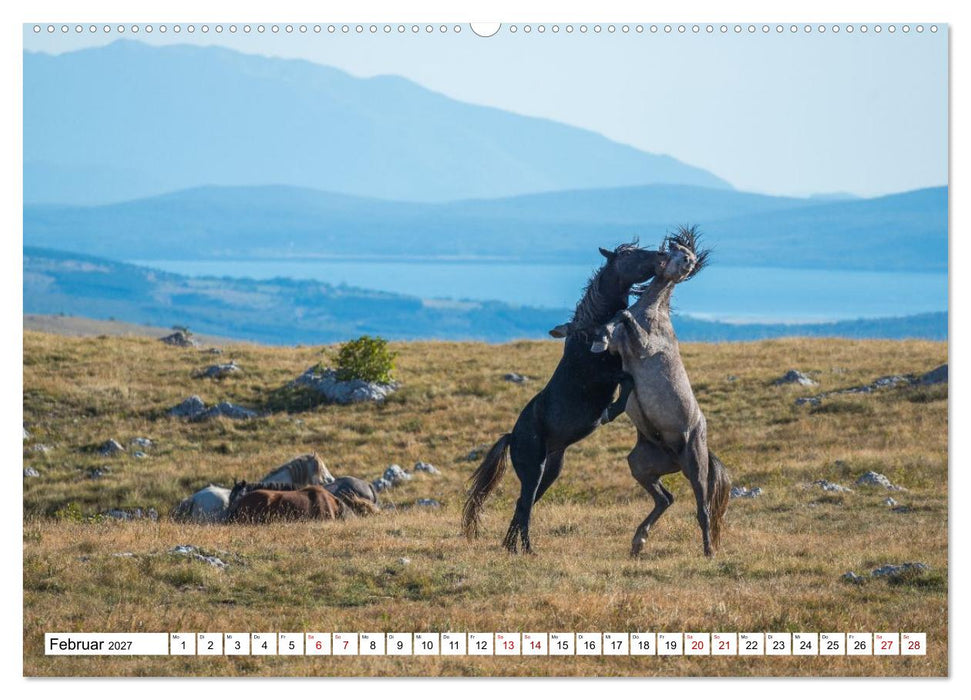 Faszinierendes Bosnien und Herzegowina (CALVENDO Wandkalender 2027)