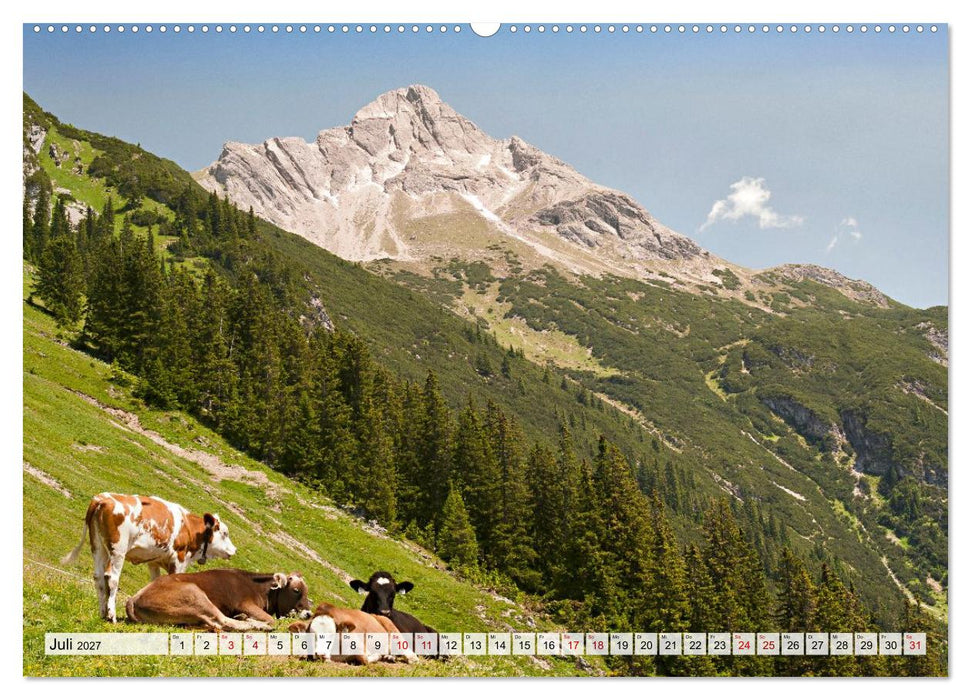 Allgäuer Alpen 2027 (CALVENDO Premium Wandkalender 2027)