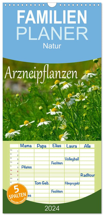 Arzneipflanzen (CALVENDO Familienplaner 2027)