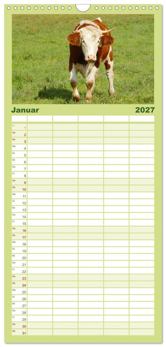 Die Welt der Kühe (CALVENDO Familienplaner 2027)