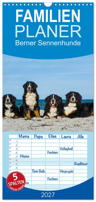 Berner Sennenhund 2027 (CALVENDO Familienplaner 2027)