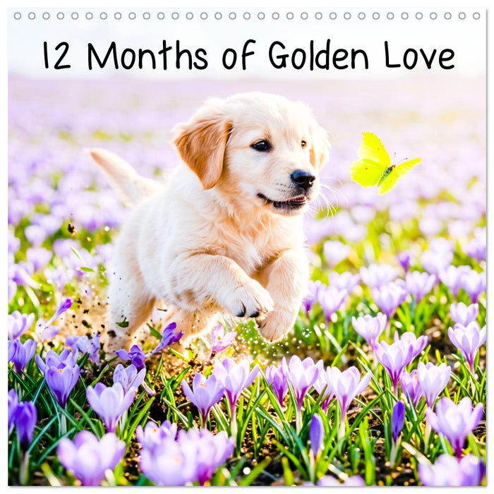 12 Months of Golden Love (CALVENDO Monthly Calendar 2027)