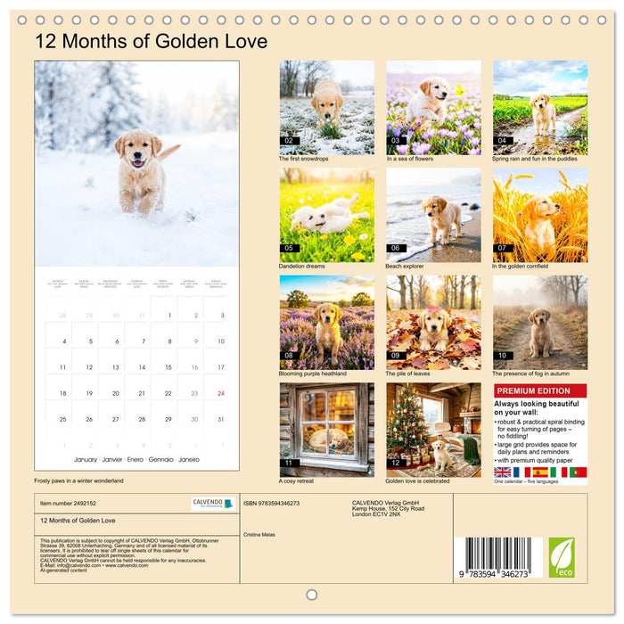 12 Months of Golden Love (CALVENDO Monthly Calendar 2027)