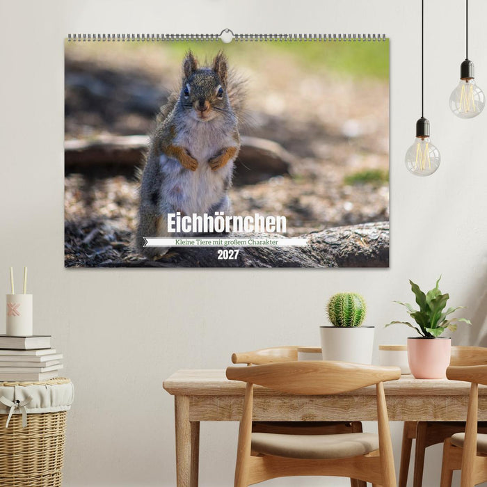 Eichhörnchen - Kleine Tiere mit großem Charakter (CALVENDO Wandkalender 2027)