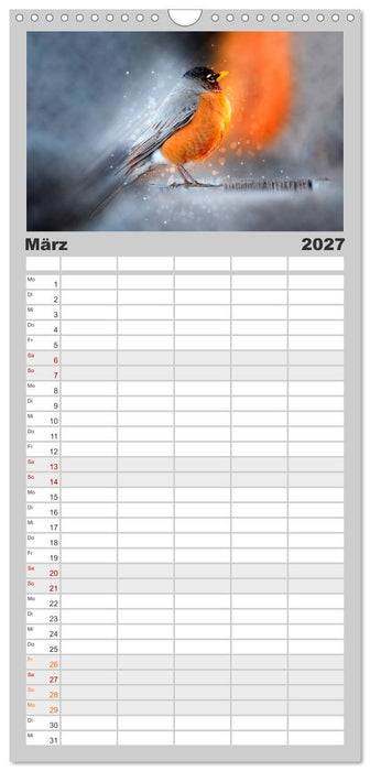 Bei uns im Garten - Rotkehlchen (CALVENDO Familienplaner 2027)