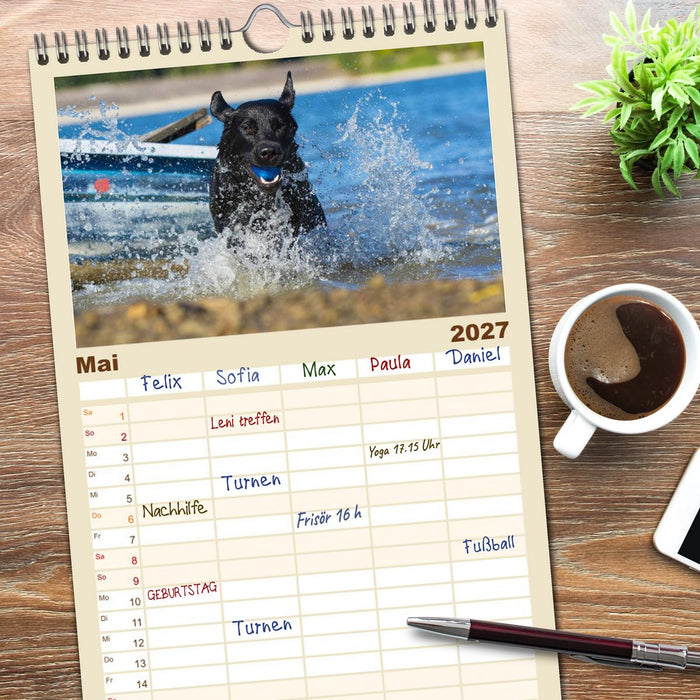 Labrador Retriever - Freunde für´s Leben (CALVENDO Familienplaner 2027)