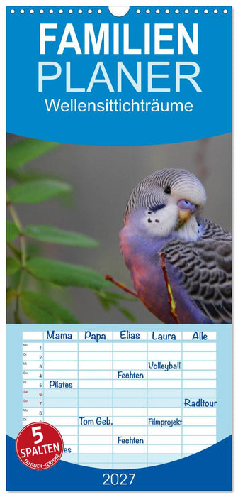 Wellensittichträume - Der neue Wellensittich-Naturkalender (CALVENDO Familienplaner 2027)