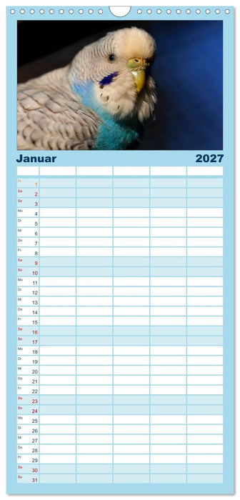 Wellensittichträume - Der neue Wellensittich-Naturkalender (CALVENDO Familienplaner 2027)