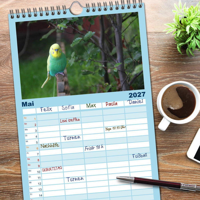 Wellensittichträume - Der neue Wellensittich-Naturkalender (CALVENDO Familienplaner 2027)