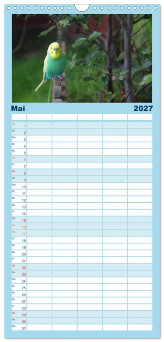 Wellensittichträume - Der neue Wellensittich-Naturkalender (CALVENDO Familienplaner 2027)