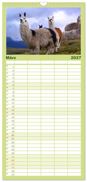 Alpakas und Lamas (CALVENDO Familienplaner 2027)