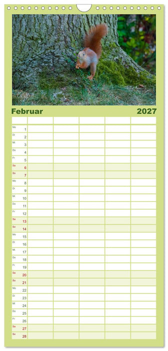 Spaß mit Eichhörnchen-Kindern (CALVENDO Familienplaner 2027)