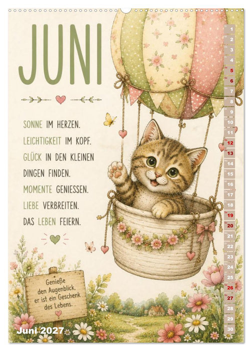 Kuschelmomente mit Katzen (CALVENDO Wandkalender 2027)