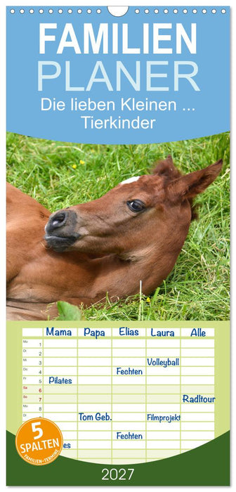 Die lieben Kleinen... Tierkinder einfach zum Knuddeln (CALVENDO Familienplaner 2027)