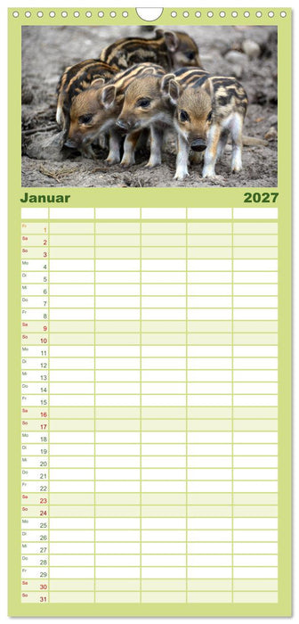Die lieben Kleinen... Tierkinder einfach zum Knuddeln (CALVENDO Familienplaner 2027)
