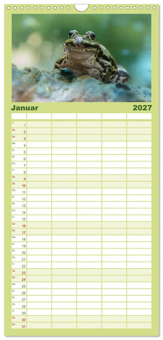 Glückliche Frösche (CALVENDO Familienplaner 2027)