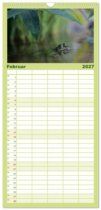 Glückliche Frösche (CALVENDO Familienplaner 2027)