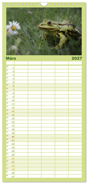 Glückliche Frösche (CALVENDO Familienplaner 2027)