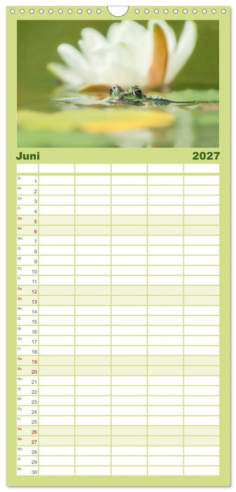 Glückliche Frösche (CALVENDO Familienplaner 2027)
