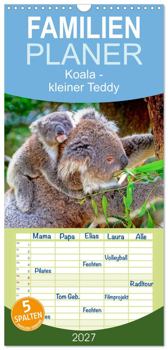 Koala - kleiner Teddy (CALVENDO Familienplaner 2027)