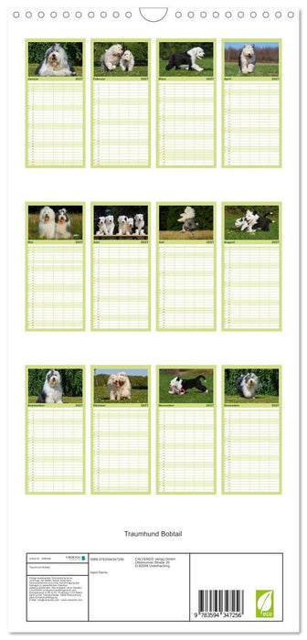 Traumhund Bobtail (CALVENDO Familienplaner 2027)