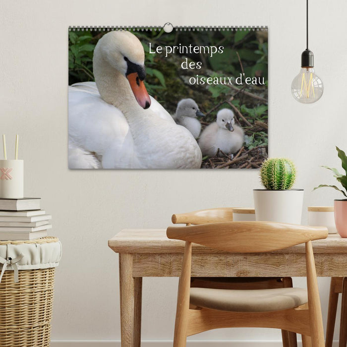 Le printemps des oiseaux d'eau (CALVENDO Calendrier mensuel 2027)
