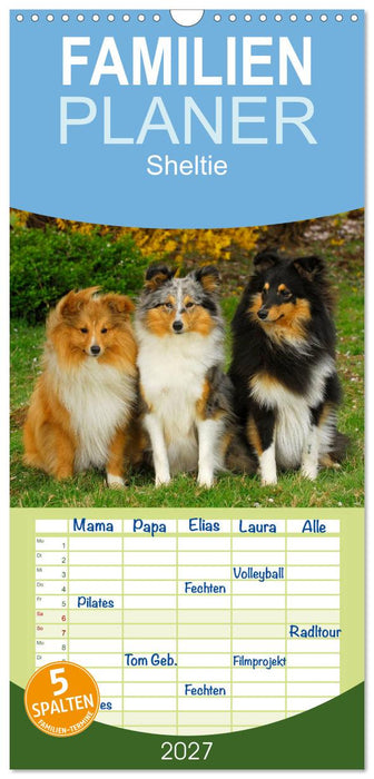 Sheltie 2027 (CALVENDO Familienplaner 2027)