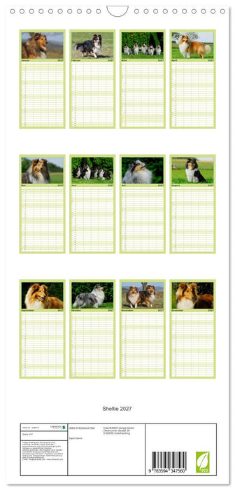 Sheltie 2027 (CALVENDO Familienplaner 2027)