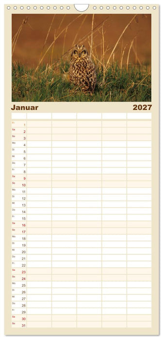 Heimische Eulen und Greife (CALVENDO Familienplaner 2027)