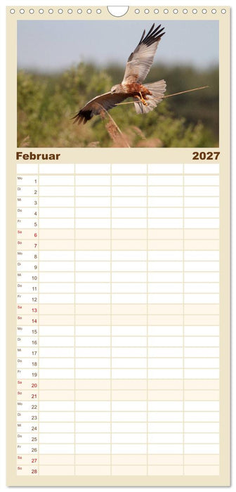 Heimische Eulen und Greife (CALVENDO Familienplaner 2027)