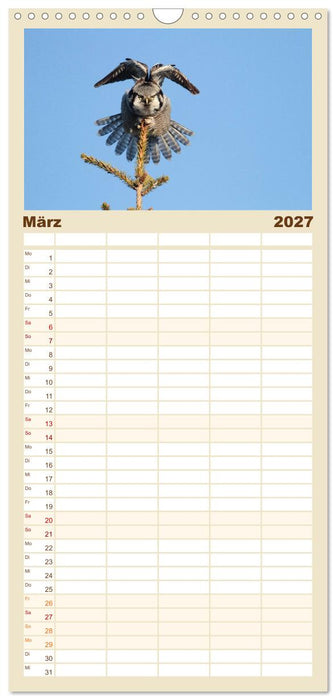 Heimische Eulen und Greife (CALVENDO Familienplaner 2027)