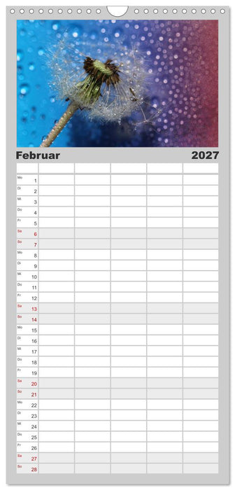 Puste mal! (CALVENDO Familienplaner 2027)