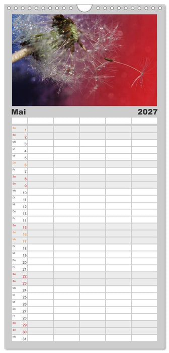 Puste mal! (CALVENDO Familienplaner 2027)