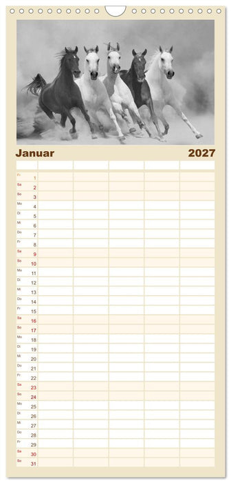 Arabische Pferde (CALVENDO Familienplaner 2027)