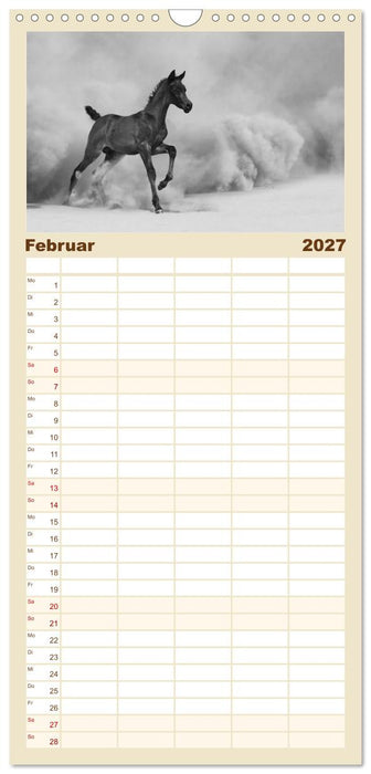 Arabische Pferde (CALVENDO Familienplaner 2027)