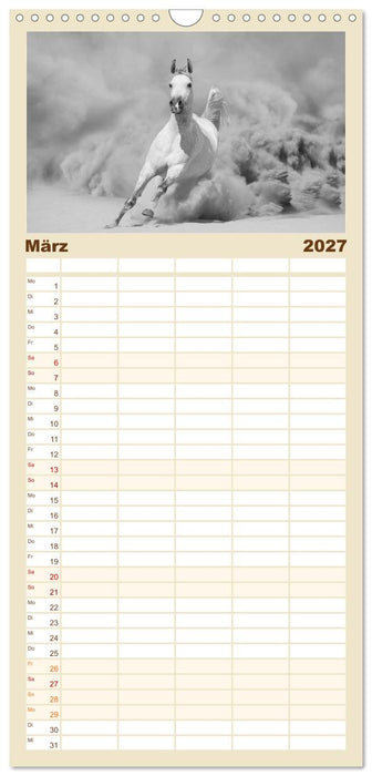 Arabische Pferde (CALVENDO Familienplaner 2027)