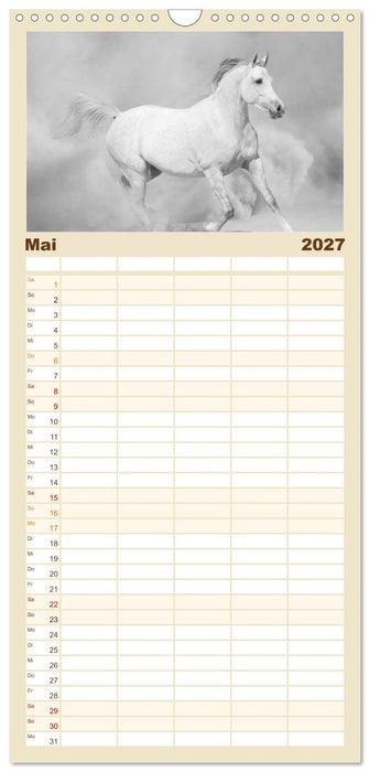 Arabische Pferde (CALVENDO Familienplaner 2027)