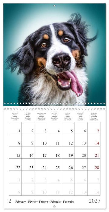 Funny Dog Faces (CALVENDO Monthly Calendar 2027)