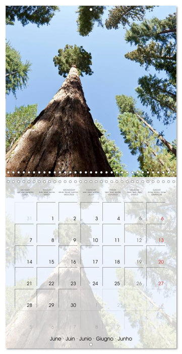 Gorgeous California YOSEMITE NATIONAL PARK (CALVENDO Monthly Calendar 2027)