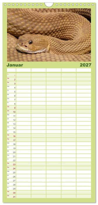 Schlangen (CALVENDO Familienplaner 2027)