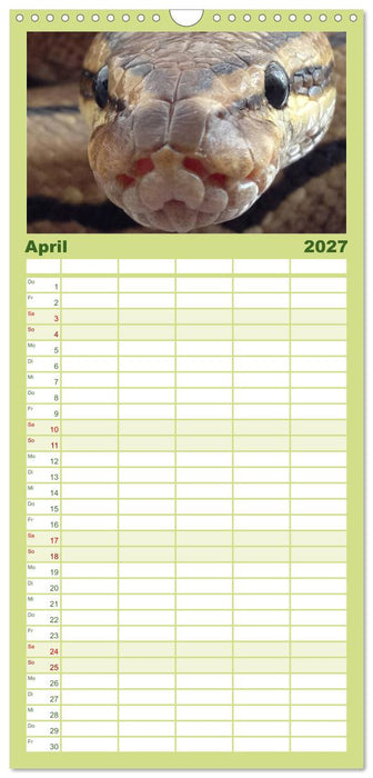 Schlangen (CALVENDO Familienplaner 2027)