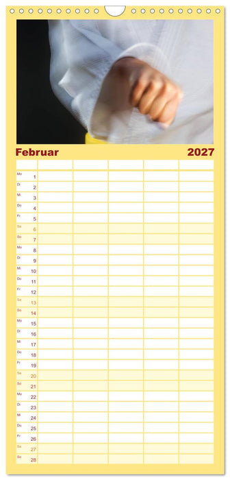 Kampfsport (CALVENDO Familienplaner 2027)