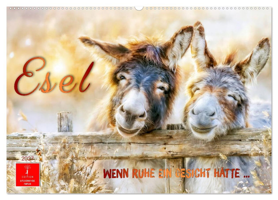 Esel - Wenn Ruhe ein Gesicht hätte (CALVENDO Wandkalender 2027)